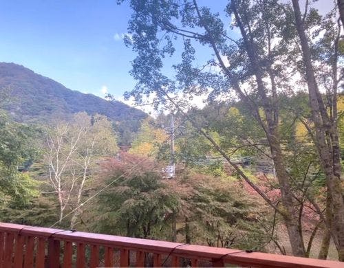 デッキからの風景