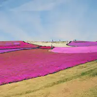 【Pariwisata】Tempat di sekitar★Desa Jerman Tokyo*
