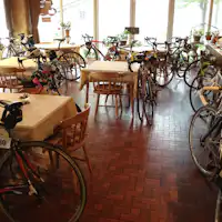 *【บริการฤดูเขียว】