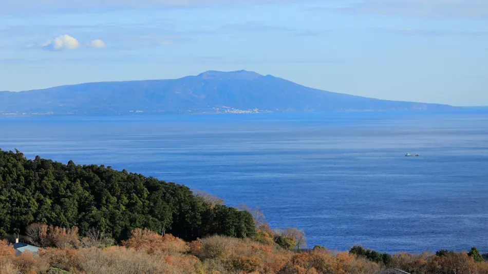 Point Vacation Izu Kogen