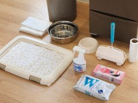 ポイントバケーション伊豆高原