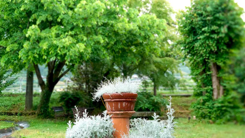 Yufuin Flora House