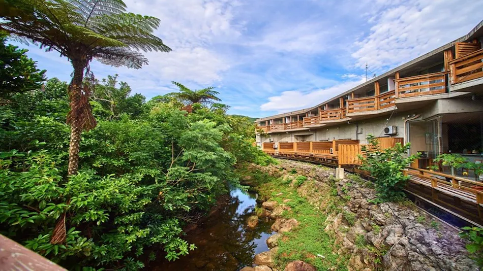 Iriomote Island Jungle Hotel Painumaya