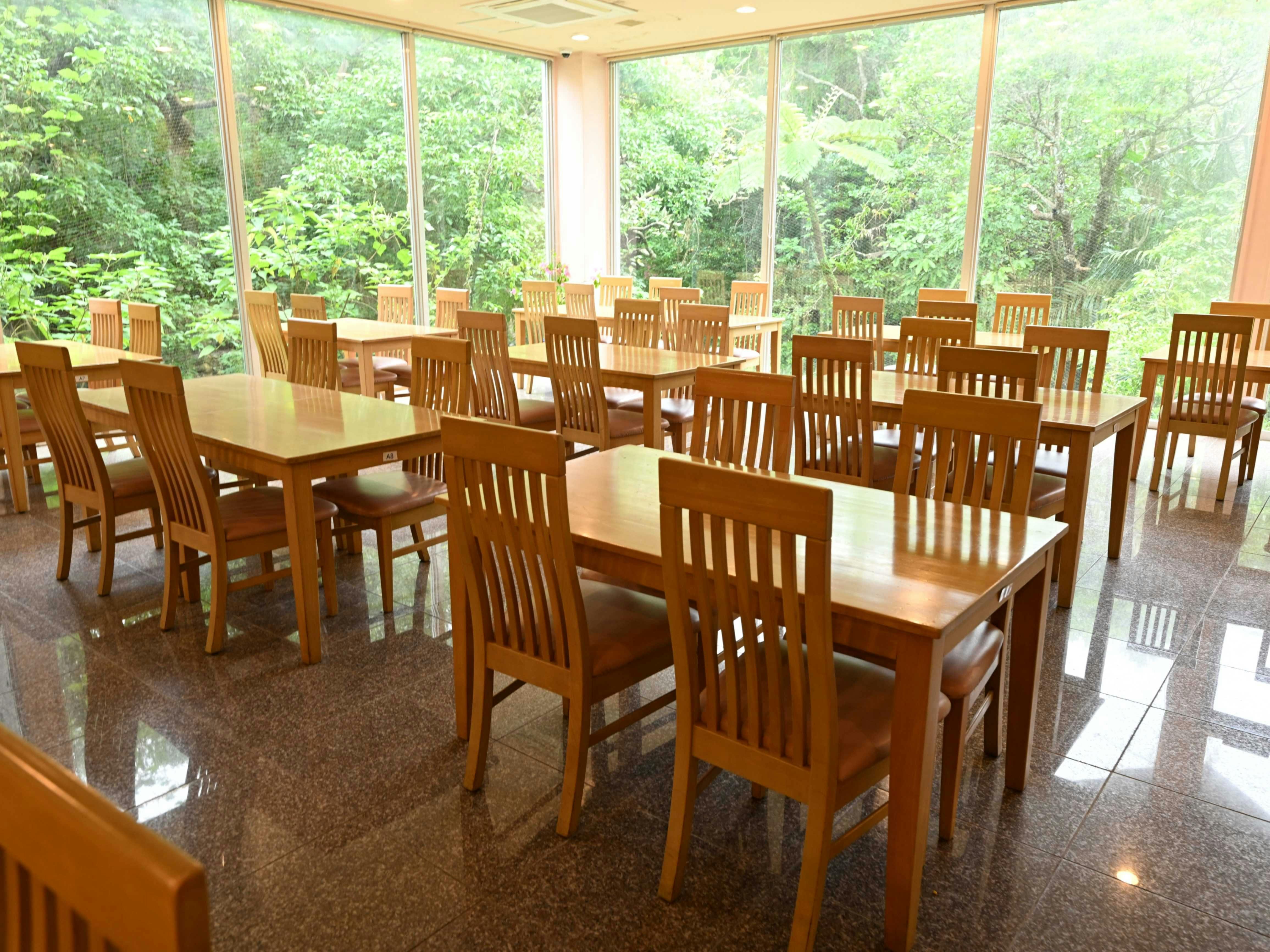 Iriomote Island Jungle Hotel Painumaya