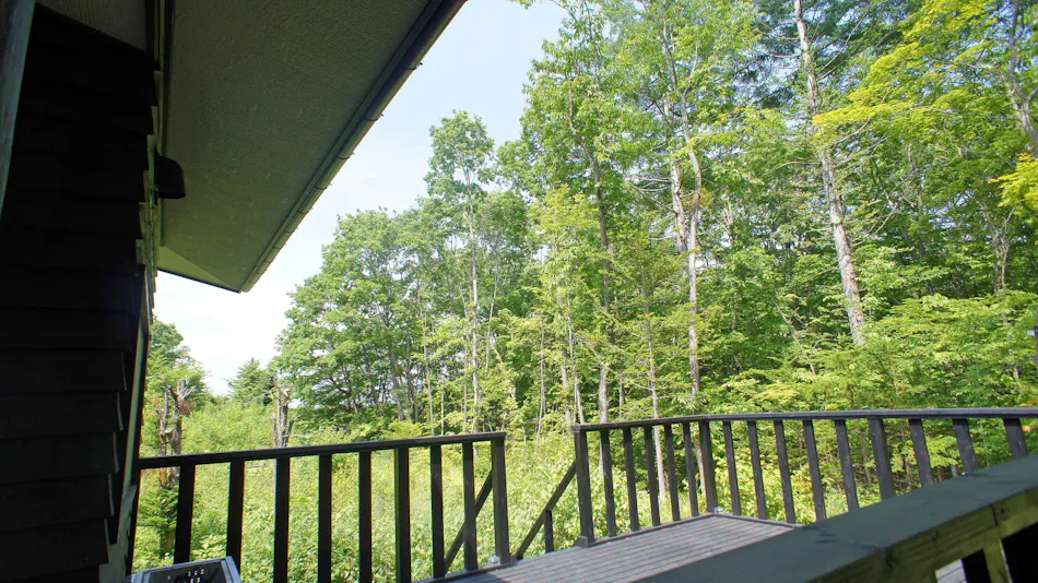HARUNA VILLA