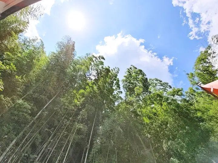 [Pet-Friendly Accommodation] Inariyama Dog-Friendly Homestay