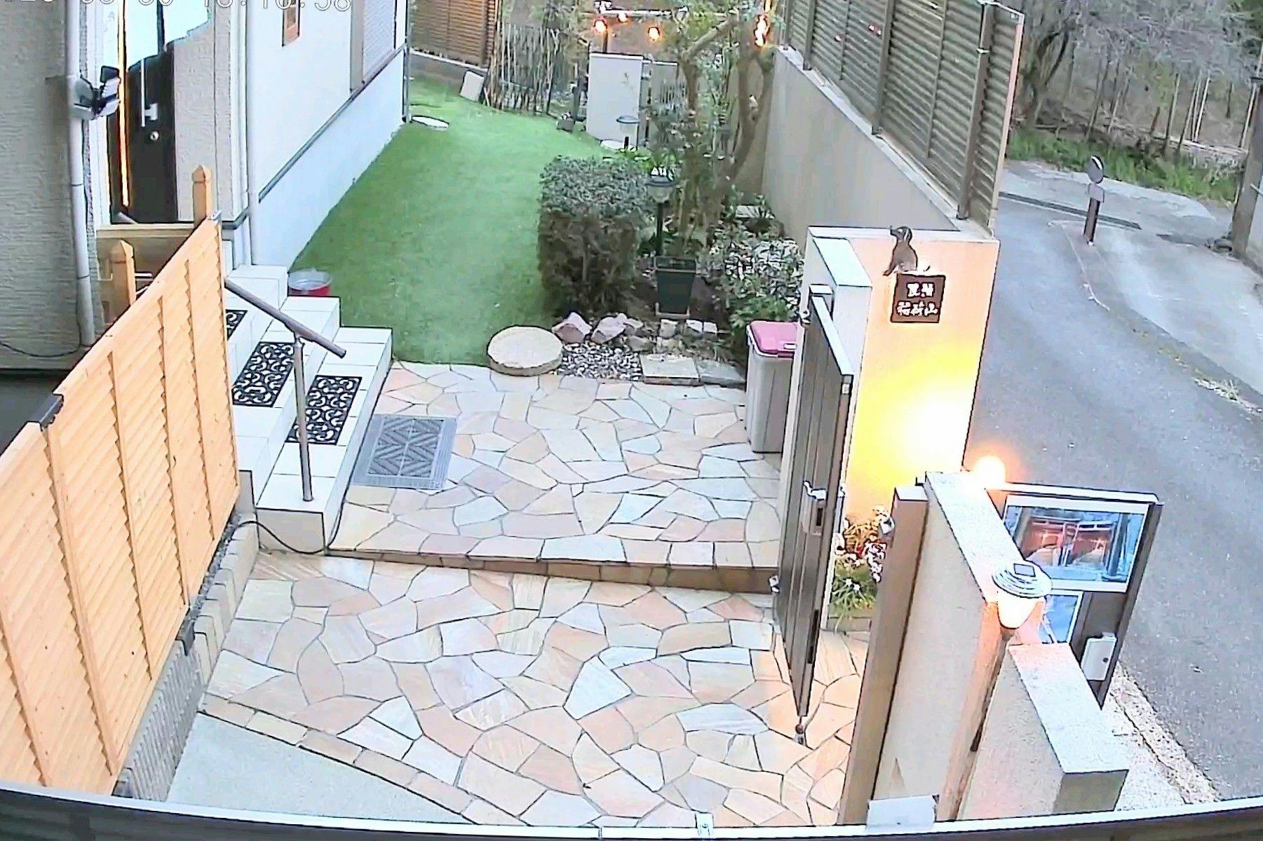 [Pet-Friendly Accommodation] Inariyama Dog-Friendly Homestay