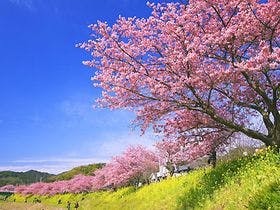 専用農園で　いちご狩りのできる宿　ペンション　マスカレード