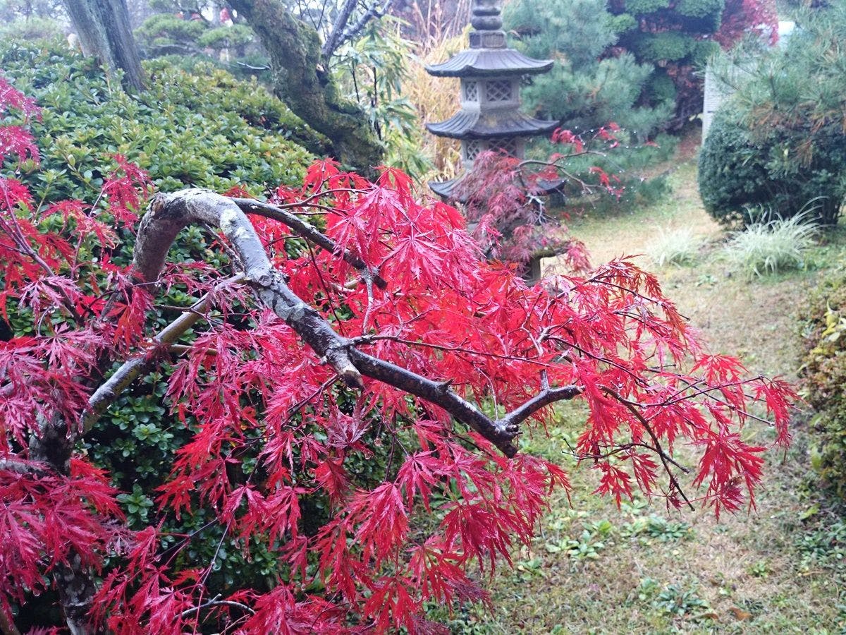 Uchihara Onsen Yusenso