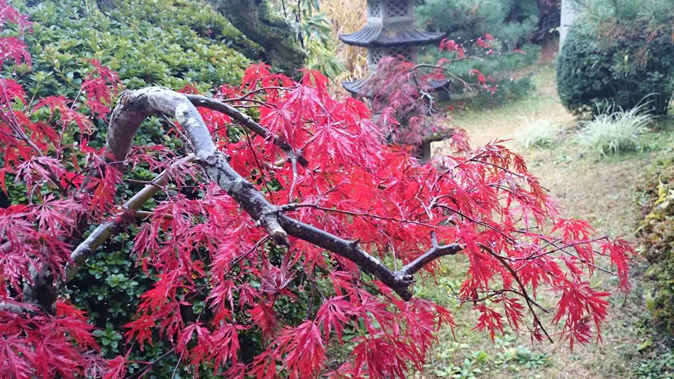 Uchihara Onsen Yusenso