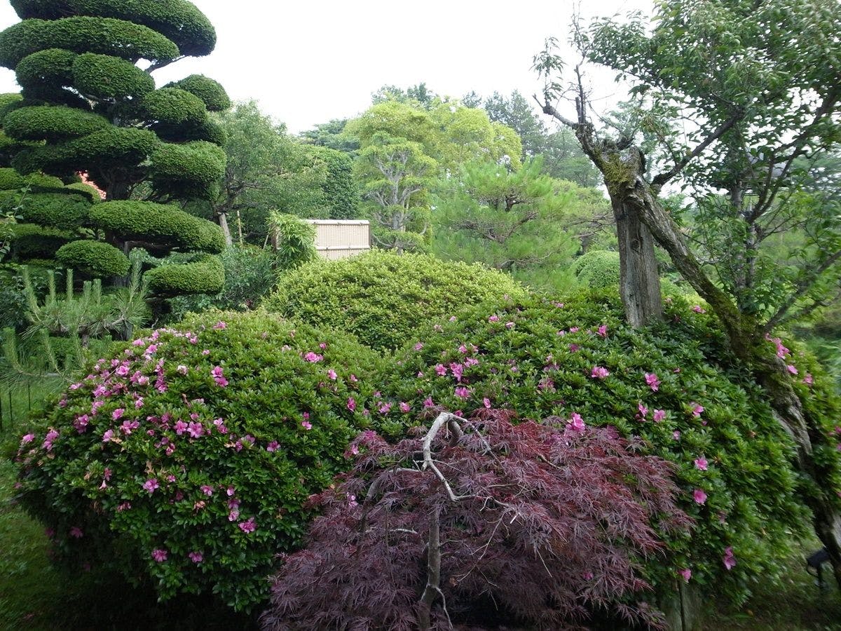Uchihara Onsen Yusenso
