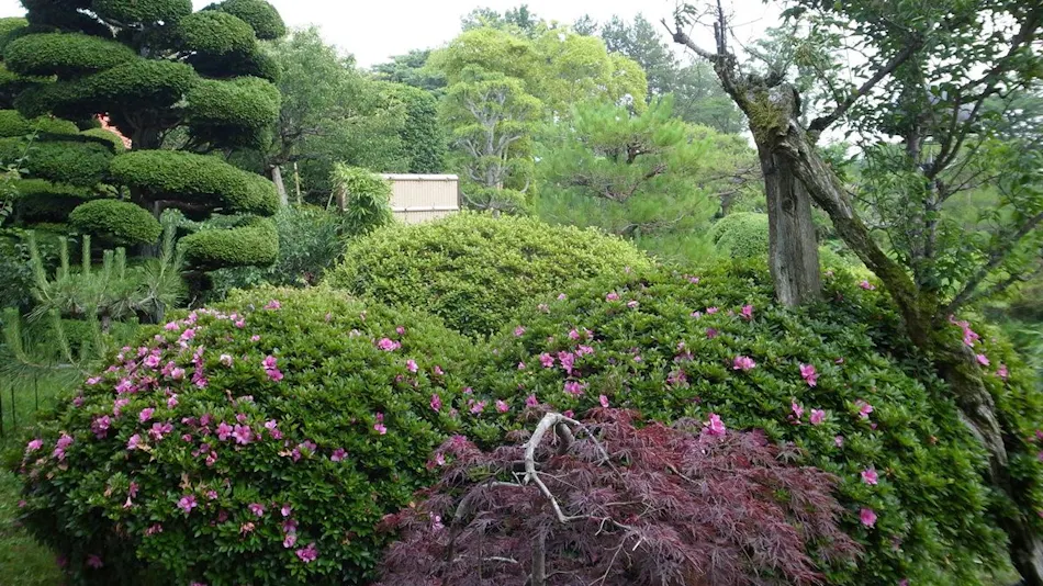 Uchihara Onsen Yusenso