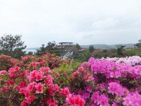 東村村民の森つつじエコパーク