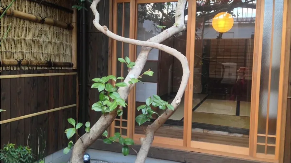Koto-an