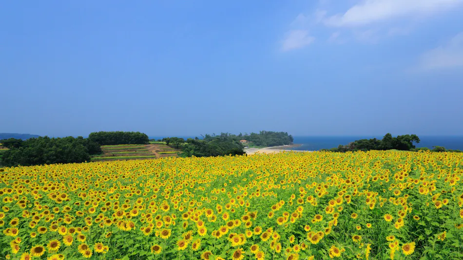 Nagasakibana Beach Resort