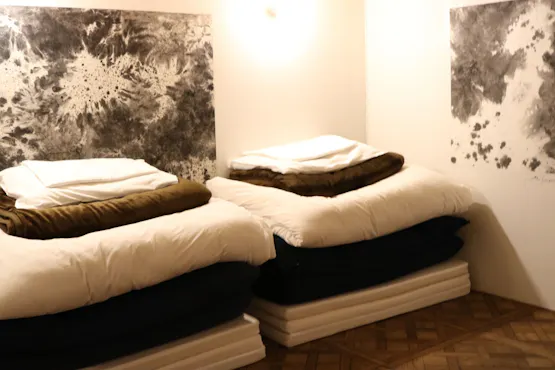 ประเภทแคปซูล Standard Twin พร้อมฟูกสองผืน