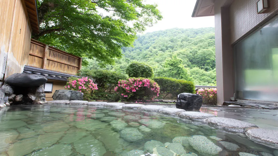 Hanayama Onsen Onto Sanso Tabist