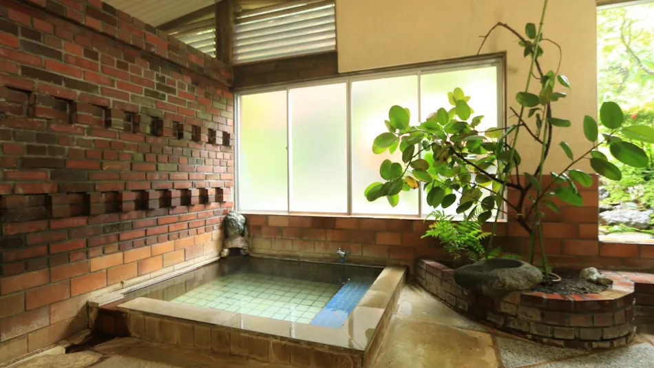 Tsudoi-yu and Soba Cuisine Inn Seigakukan