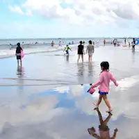 今井滨海岸,水质最高等级,美丽迷人