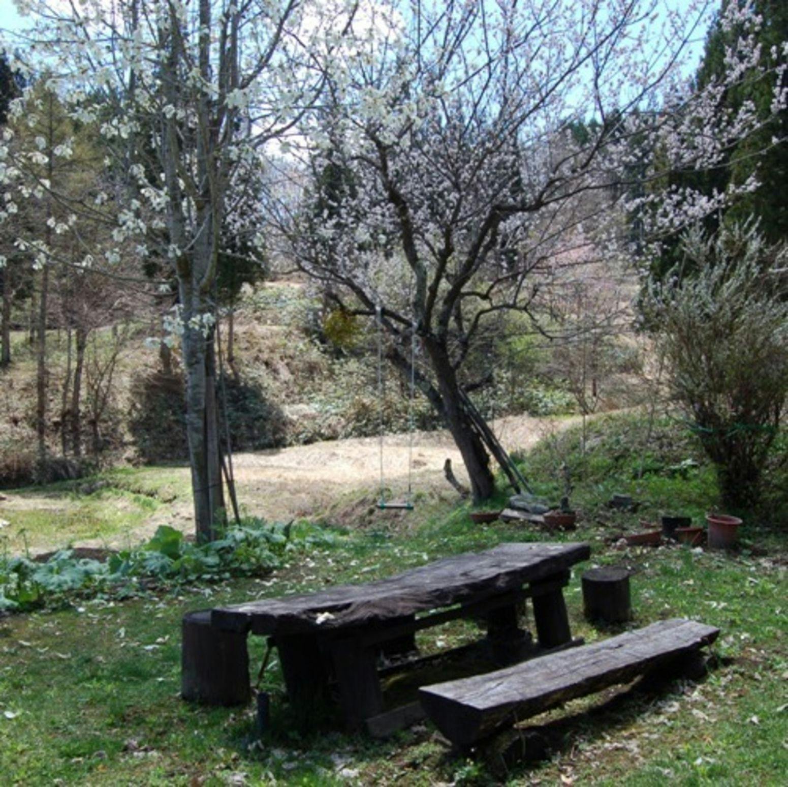 Hakuba Inn Ichinokuraso