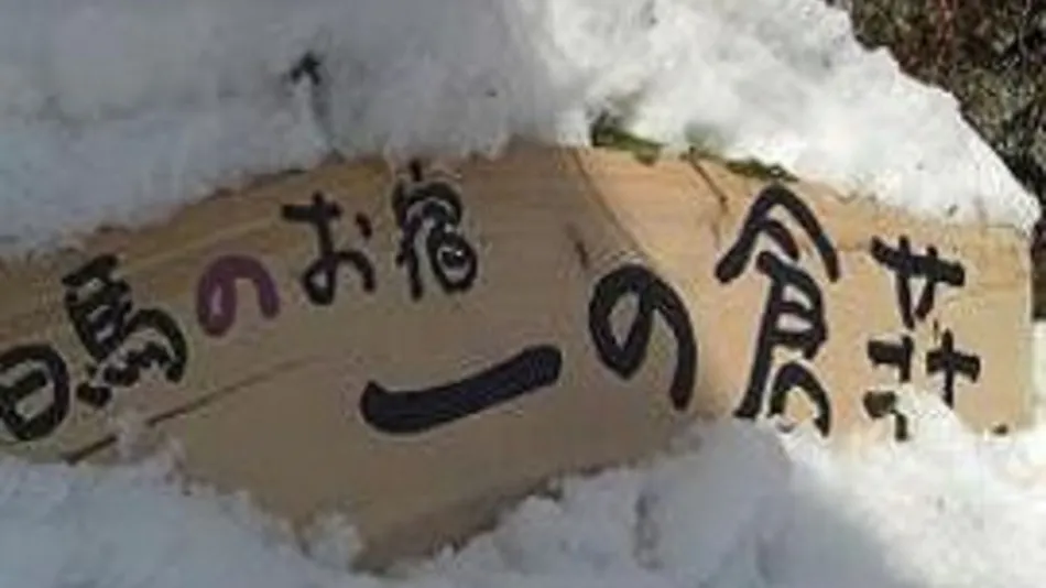 Hakuba Inn Ichinokuraso