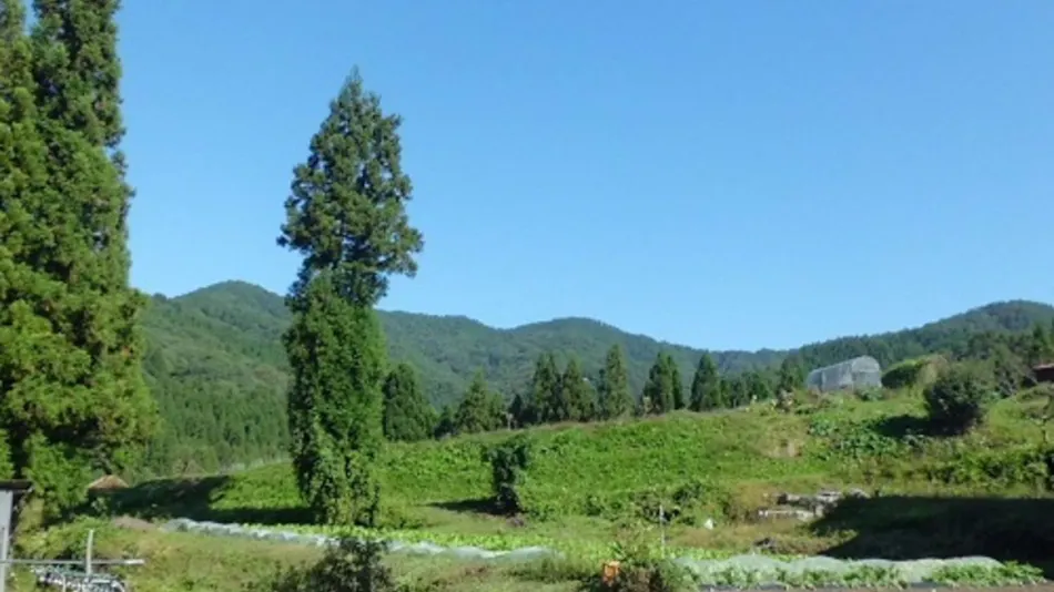 Hakuba Inn Ichinokuraso