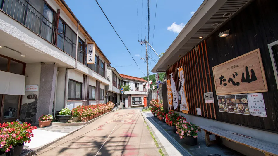 Guesthouse Neruyama