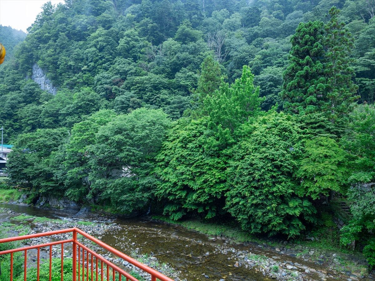 山上川的清澈溪流與綠意盎然的景觀。