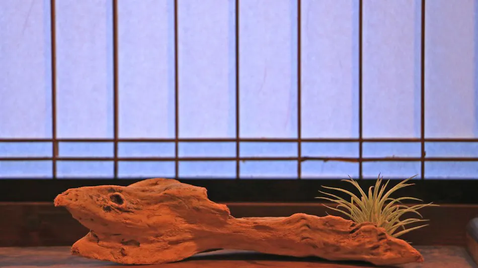 Yashio Inn in the Port Town