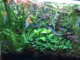 カプセルホテル新宿510