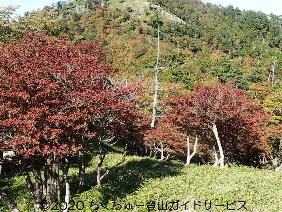 Ryori Ryokan Asahikan