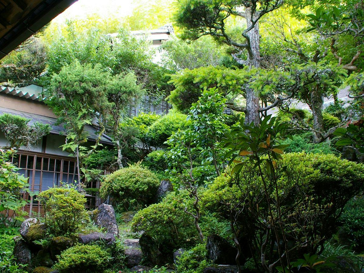 Ryori Ryokan Asahikan