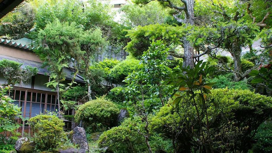 Ryori Ryokan Asahikan