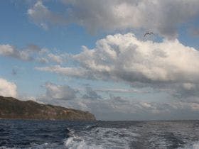 八丈島プチホテル　満天望