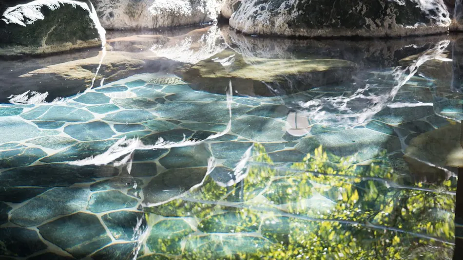 Ashiyasu Onsen Iwaenkan