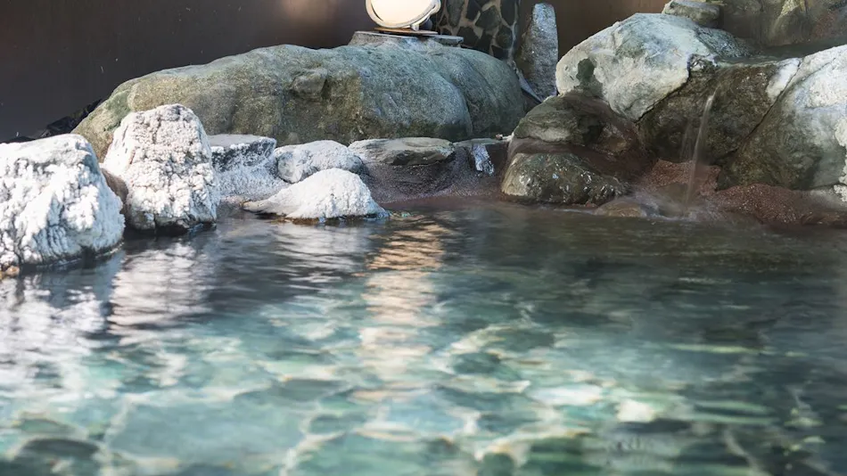 Ashiyasu Onsen Iwaenkan