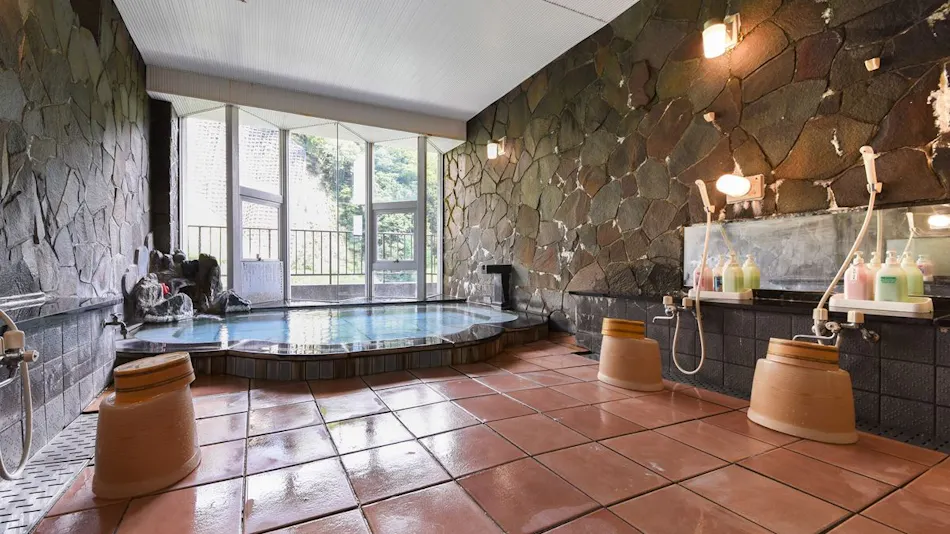 Ashiyasu Onsen Iwaenkan