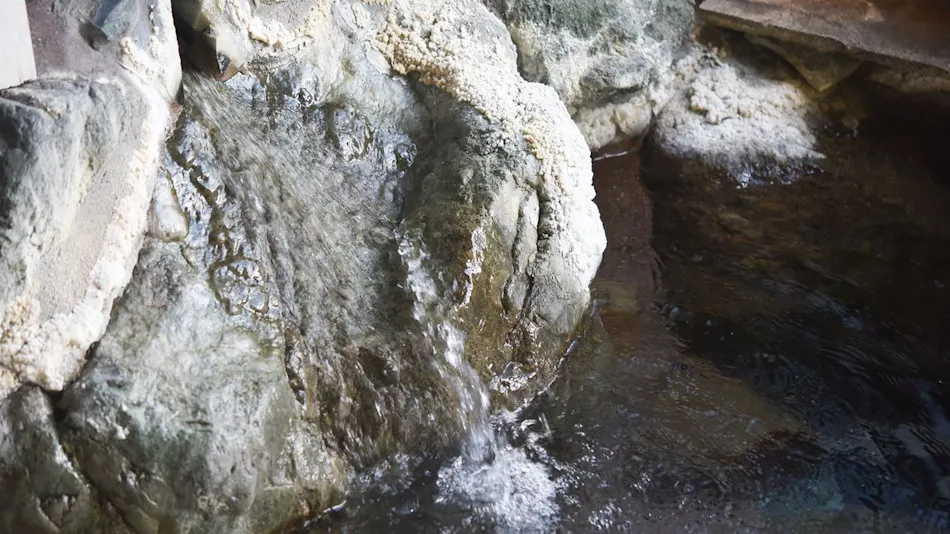 Ashiyasu Onsen Iwaenkan