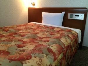Business Hotel Access