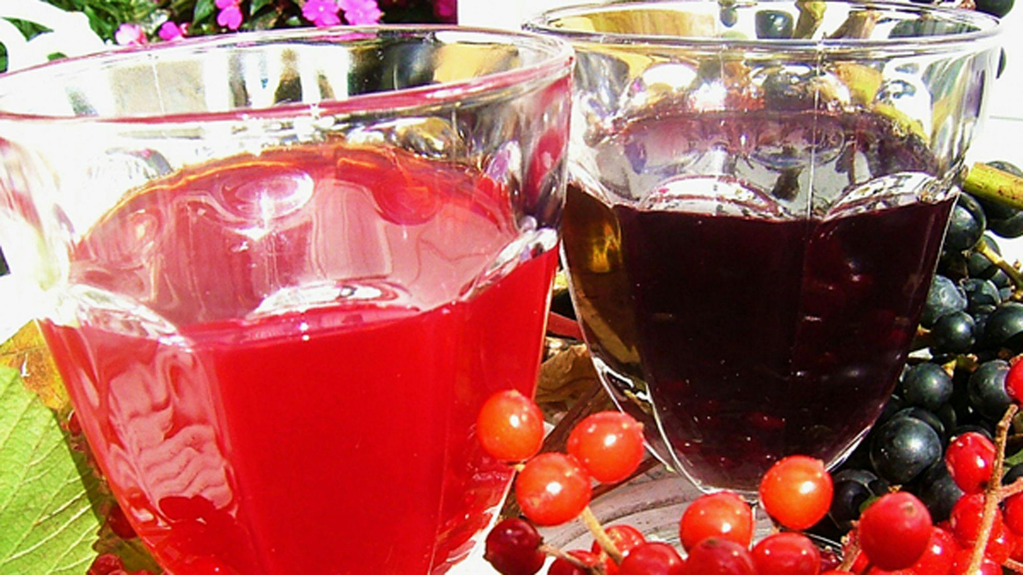 Iwate Appi Kogen Fruit Wine Inn Kiichigo-so