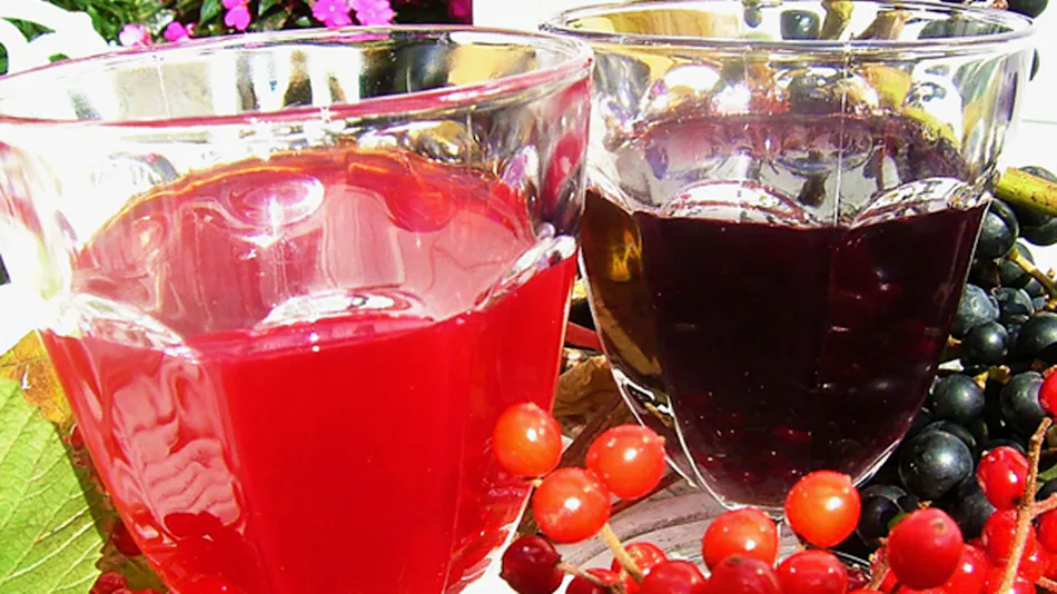 Iwate Appi Kogen Fruit Wine Inn Kiichigo-so