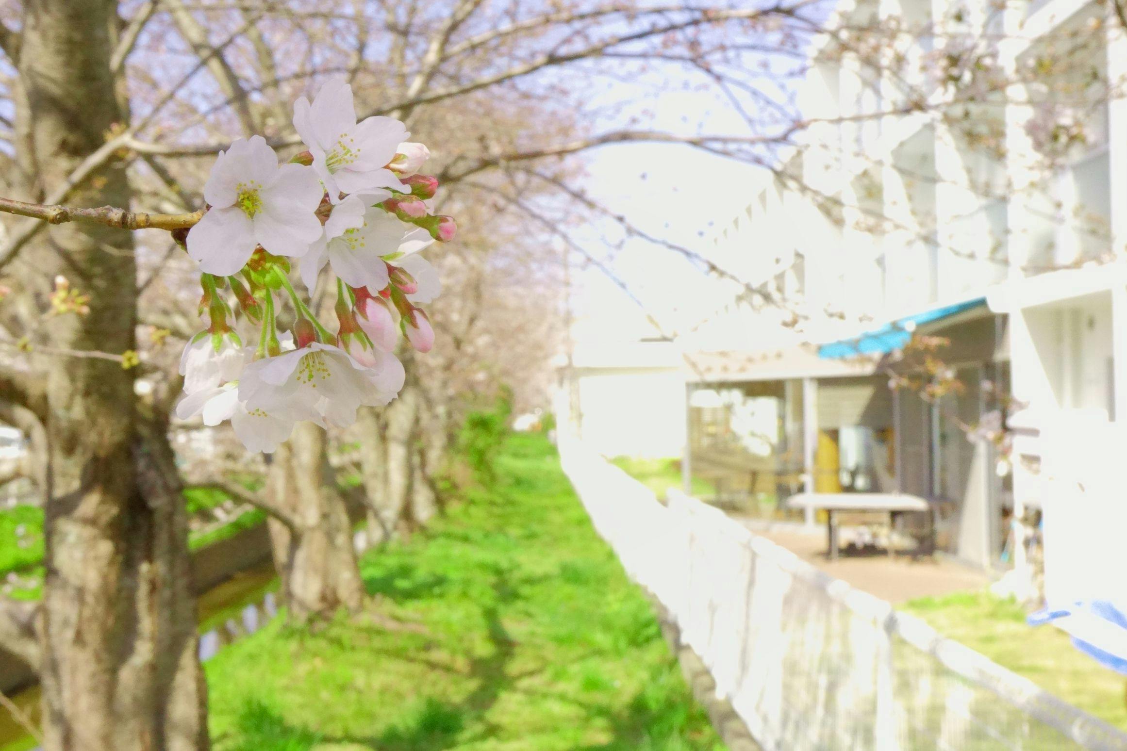 365BASE Outdoor Hostel