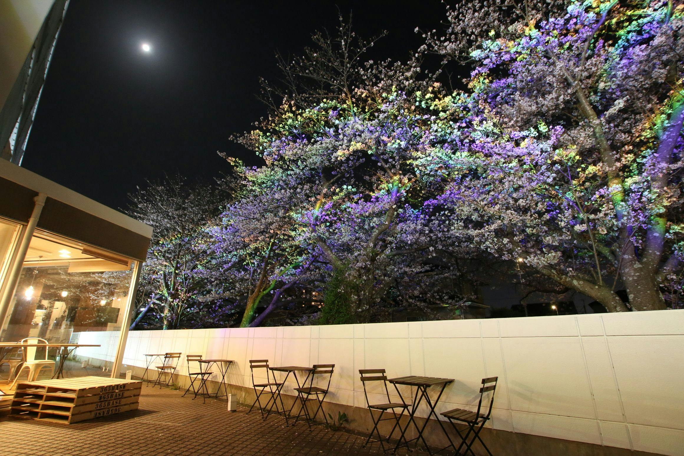 365BASE Outdoor Hostel