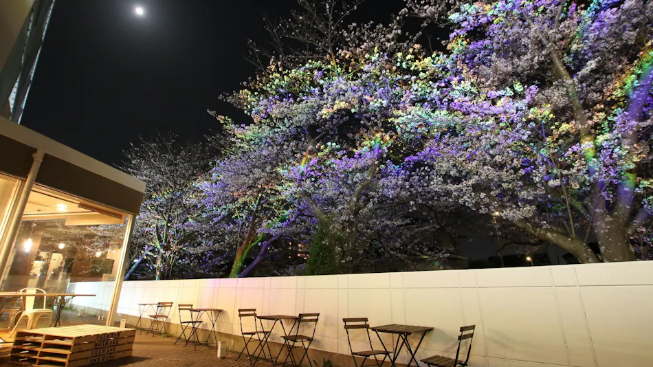 365BASE Outdoor Hostel