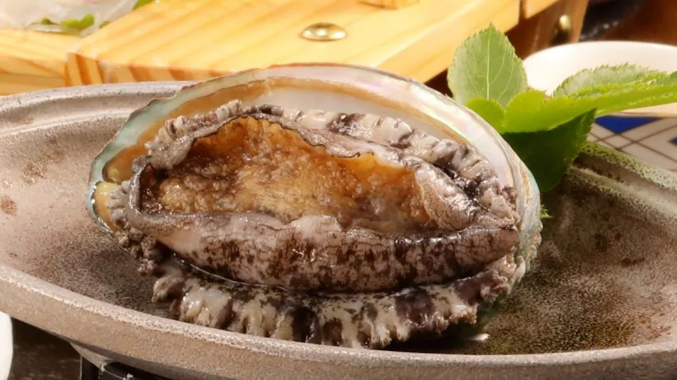 Kumomi Onsen Hamadoraku