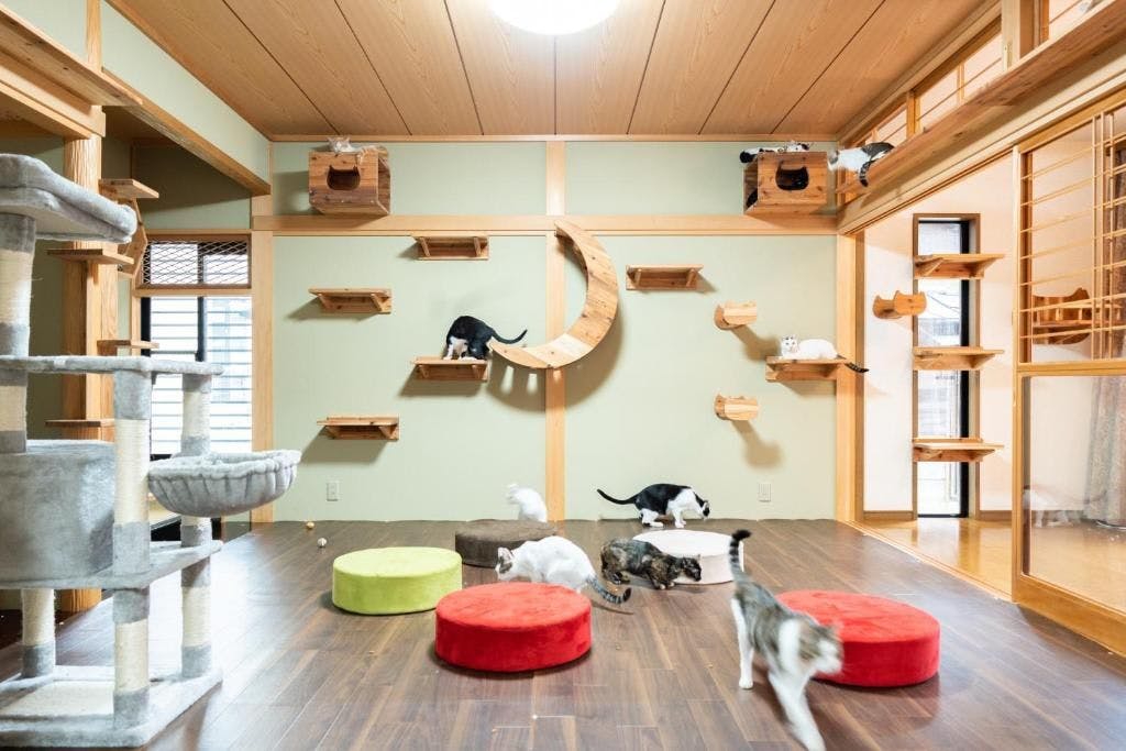 Nekogura Inn Hida