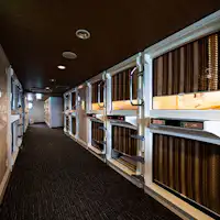 【สำหรับผู้ชายเท่านั้น】แคปซูล