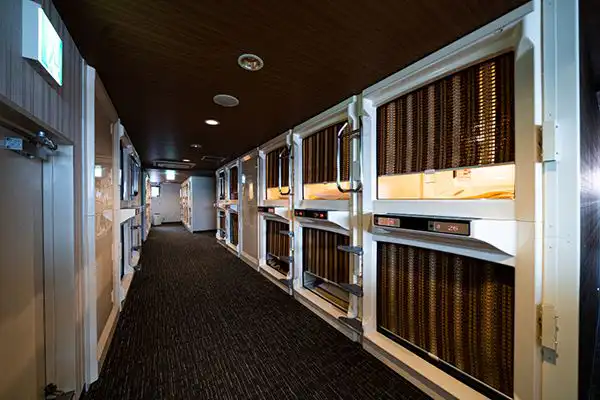 ชั้นแคปซูล