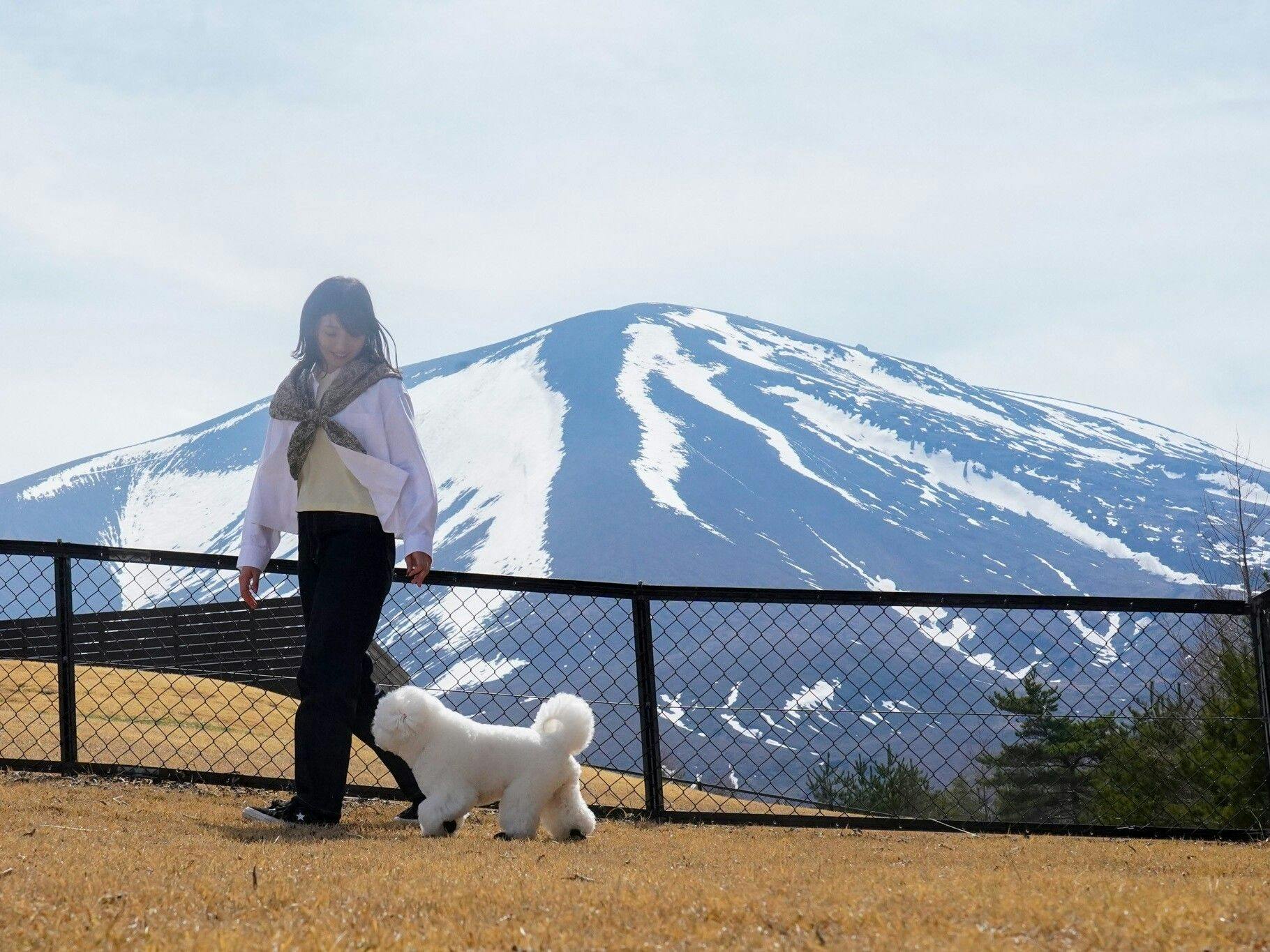 ภาพการเข้าพักพร้อมน้องหมา