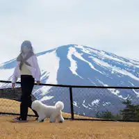 ภาพการเข้าพักพร้อมน้องหมา